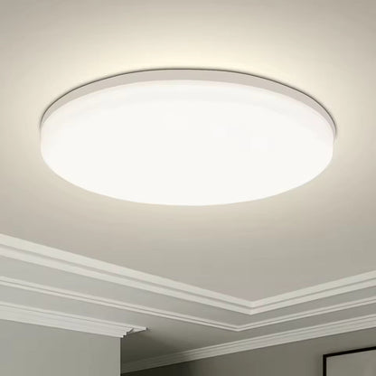 Modern Indoor Ceiling Light Fixture