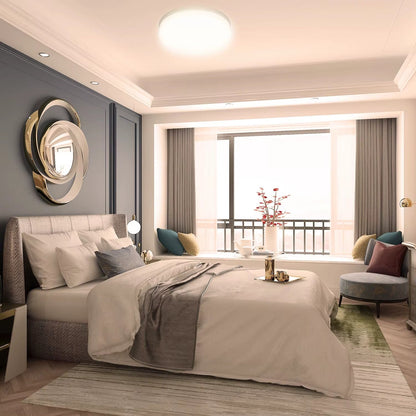 Modern Indoor Ceiling Light Fixture