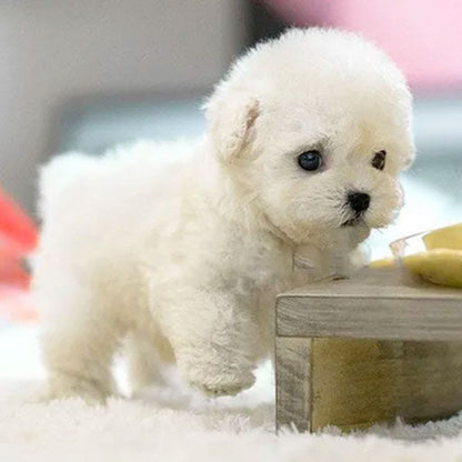 Interactive Puppy Toy Realistic Movement