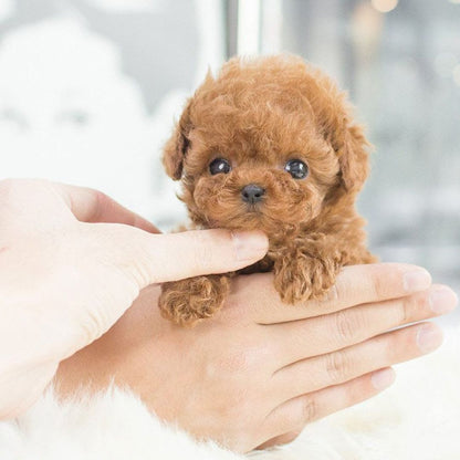 Interactive Puppy Toy Realistic Movement