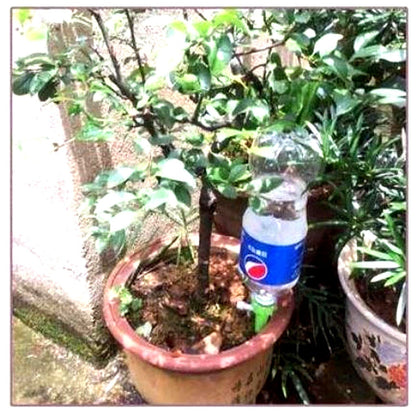 Automatic Plant Watering Spikes Adjustable Flow Garden Aid