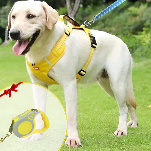 Dog Harness Comfortable Fit Enhanced Control - Fashinoza