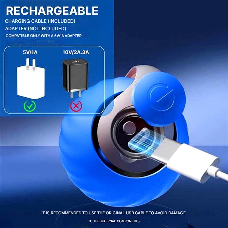 Interactive Cat Rolling Ball Toy