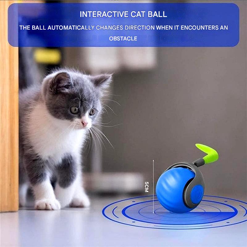 Interactive Cat Rolling Ball Toy