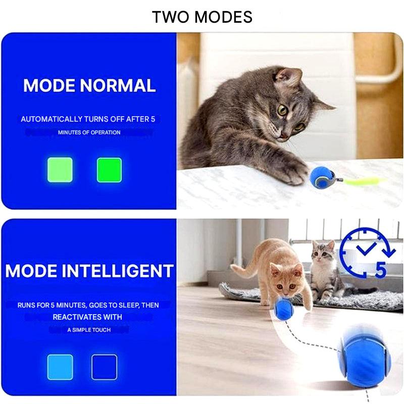 Interactive Cat Rolling Ball Toy